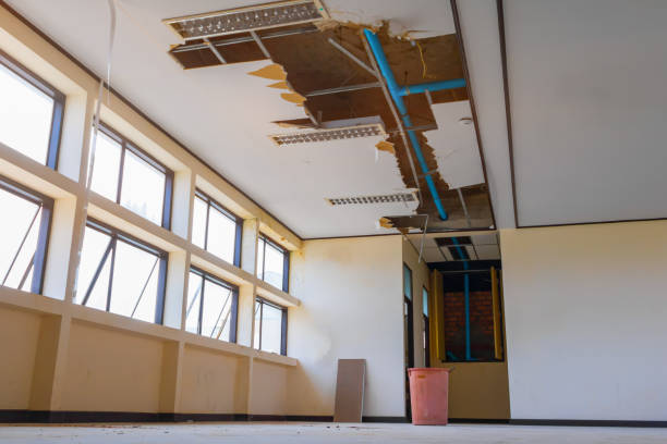 Best Water damage restoration near me  in Twain Harte, CA