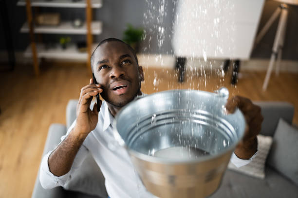Best Professional water damage repair  in Twain Harte, CA